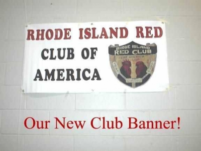 New Club Banner